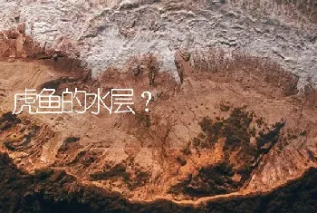 虎鱼的水层？