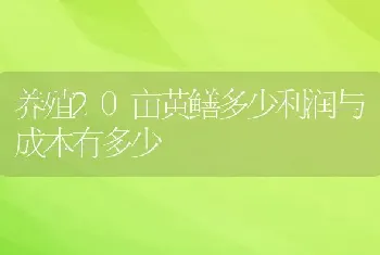 养殖20亩黄鳝多少利润与成本有多少