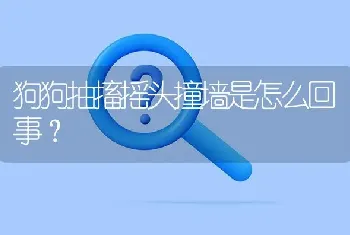 狗狗抽搐摇头撞墙是怎么回事？