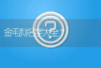 金毛狗名字大全？