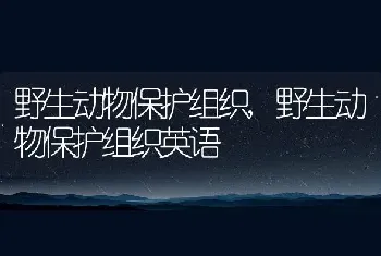 野生动物保护组织，野生动物保护组织英语