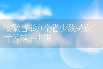 安徽省举办全省少数民族牛羊养殖培训班