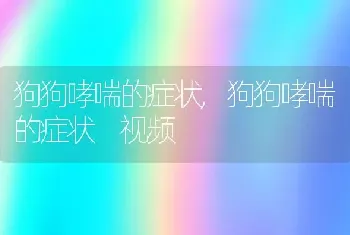 狗狗哮喘的症状，狗狗哮喘的症状 视频