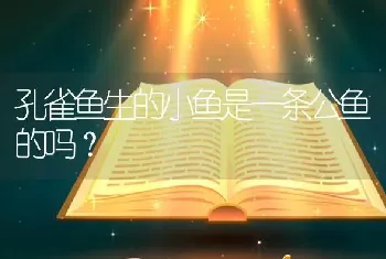 孔雀鱼生的小鱼是一条公鱼的吗？