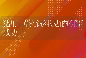 猪用中草药饲料添加剂研制成功