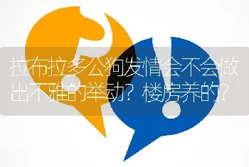 拉布拉多公狗发情会不会做出不雅的举动？楼房养的？