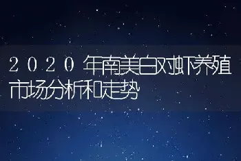 2020年南美白对虾养殖市场分析和走势