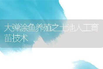 大弹涂鱼养殖之土池人工育苗技术