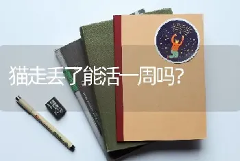 猫走丢了能活一周吗？