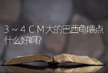 3~4CM大的巴西龟喂点什么好啊？