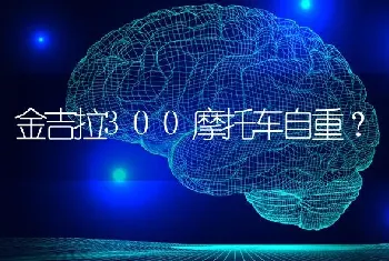 金吉拉300摩托车自重？