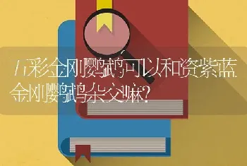 五彩金刚鹦鹉可以和资紫蓝金刚鹦鹉杂交嘛？