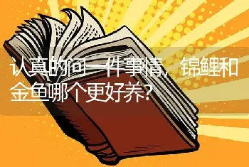 认真的问一件事情，锦鲤和金鱼哪个更好养？