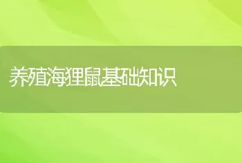 养殖海狸鼠基础知识