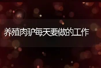 养殖肉驴每天要做的工作