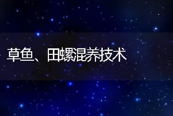 草鱼、田螺混养技术