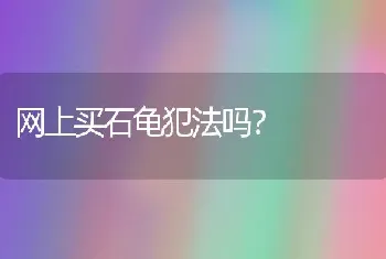 网上买石龟犯法吗？