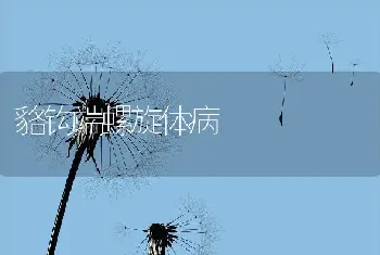 貉钩端螺旋体病