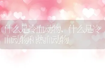 什么是冷血动物，什么是冷血动物和热血动物