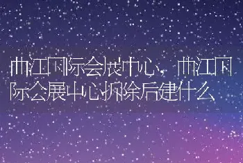 曲江国际会展中心，曲江国际会展中心拆除后建什么