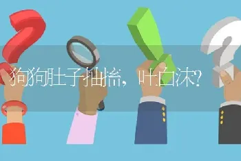 狗狗肚子抽搐，吐白沫？