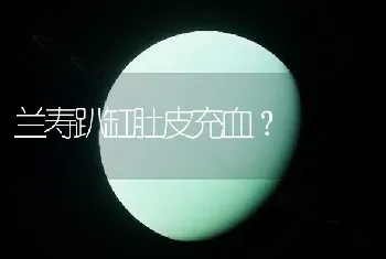 蓝点颏一年大叫几个月？