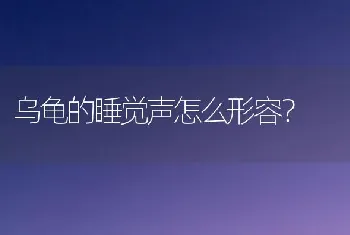 乌龟的睡觉声怎么形容？