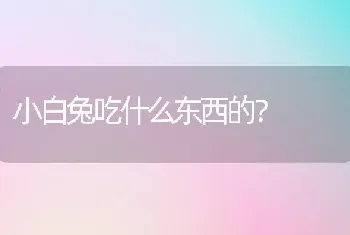 小白兔吃什么东西的？