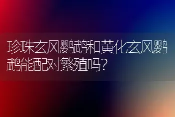 珍珠玄风鹦鹉和黄化玄风鹦鹉能配对繁殖吗？