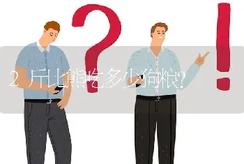 2斤比熊吃多少狗粮？