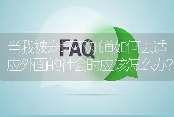 狗发情期是什么样的，有哪些举动可以看出它是发情了？