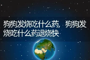 狗狗发烧吃什么药，狗狗发烧吃什么药退烧快