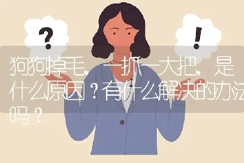 狗狗掉毛，一抓一大把，是什么原因？有什么解决的办法吗？