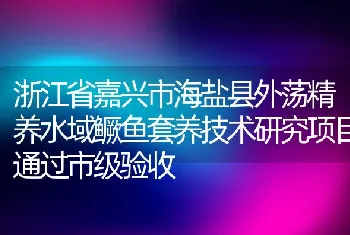 浙江省嘉兴市海盐县外荡精养水域鳜鱼套养技术研究项目通过市级验收