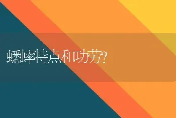 小巴西龟怎么喂？