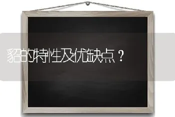 貂的特性及优缺点？