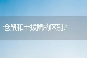 仓鼠和土拨鼠的区别？