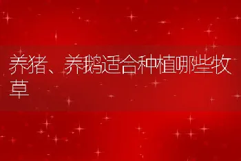 宝日勿苏镇调整优化农牧业经济结构