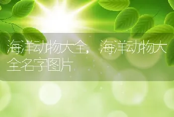 君子兰烂根怎么办，君子兰烂根怎么办？能救活吗？