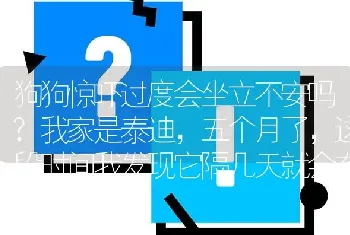 狗狗惊吓过度会坐立不安吗?我家是泰迪，五个月了，这段时间我发现它隔几天就会有一晚上坐立不安，像是？