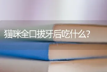 体型最大的兔子是什么兔子？有多大？