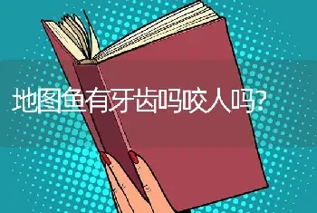 养银龙鱼怎么换水？