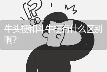 牛头梗和斗牛梗有什么区别啊？