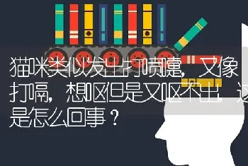 猫咪类似发出打喷嚏，又像打嗝，想呕但是又呕不出，这是怎么回事？