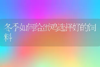 七种以草代药可防治獭兔病