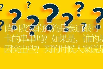 请问我家的狗狗是泰迪跟可卡的串串吗?如果是，谁的基因突出些?买的时候人家说是泰迪？