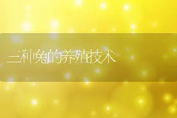 保铃棉田病虫害防治方法