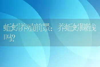 蚯蚓养殖前景：养蚯蚓赚钱吗？