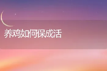 养鸡如何保成活