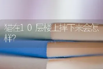 猫在10层楼上摔下来会怎样？